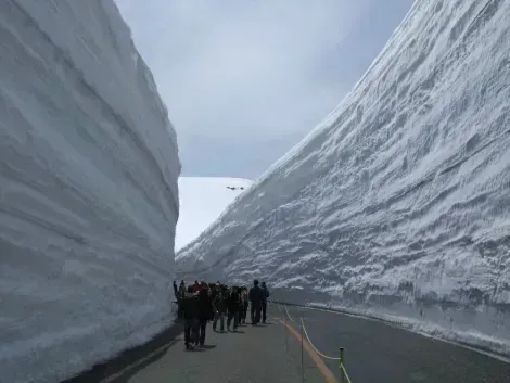 Yuki-no-Otani Snow Wall Walk
