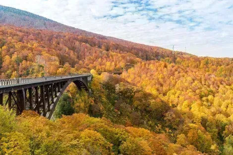Bridge among forest during fall season, Aomori prefecture
