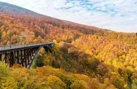 Bridge among forest during fall season, Aomori prefecture