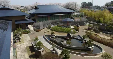 Omiya Bonsai Art Museum, Saitama